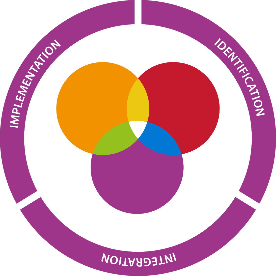 The 3 I's