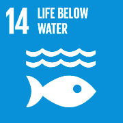 14 - Life Below Water